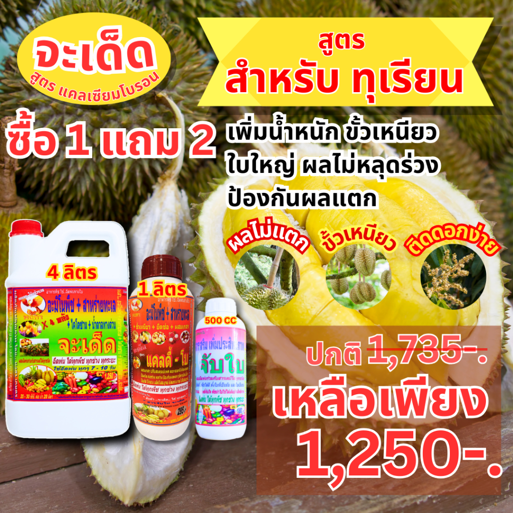 จะเด็ด “สูตร ทุเรียน พลัง X4” โปรโมชั่น 1 แถม 2 สูตรสำเร็จสำหรับ “ทุเรียน” ขั้วเหนียว ผลไม่แตก ติดดอกง่าย