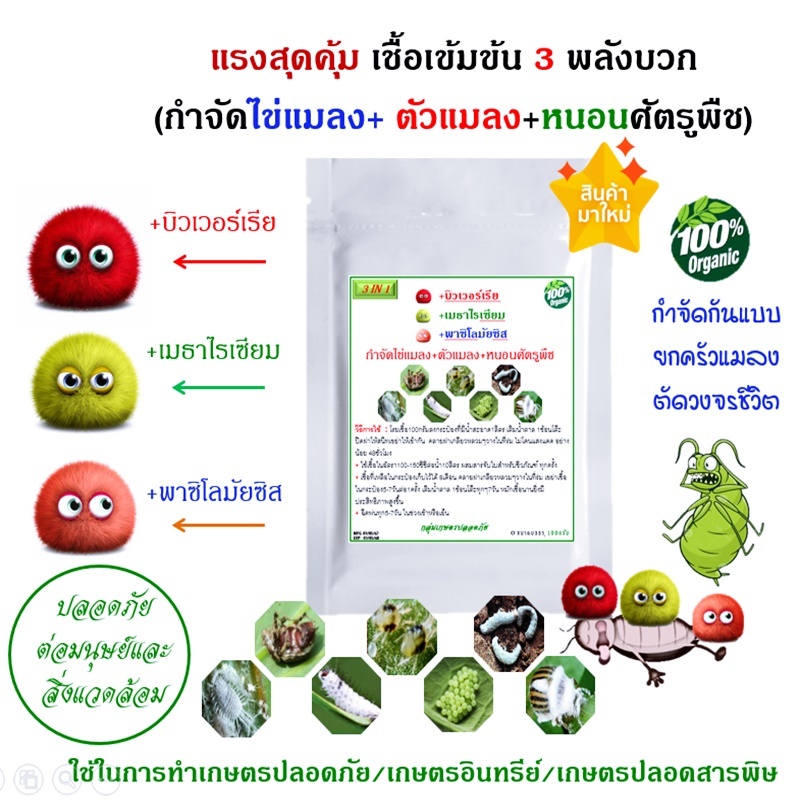3in1 บิวเวอร์เรีย + เมธาไรเซียม + พาซิโลมัย  เข้มข้นรวม3แรงบวก กำจัดไข่แมลง+ตัวแมลง+หนอน ศัตรูพืชครอบคลุม 100กรัม