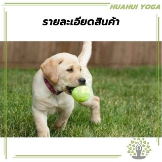 ะทนทาน ยางยืดเลข Tennis ball เทนนิสการฝึกอบรม ผู้เริ่มต้นบริหาร ออกกำลังกาย