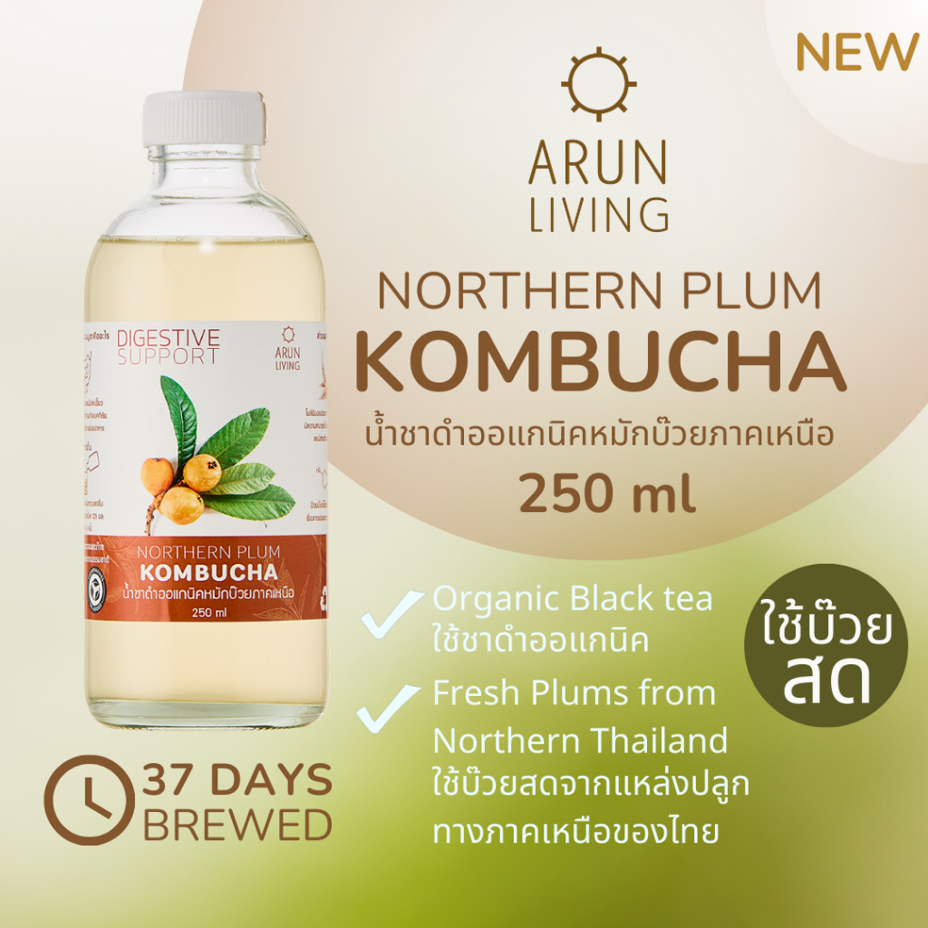 ArunLiving คอมบูชา พรีเมี่ยม 250-450ml ชาหมัก บ๊วยสด kombucha ออแกนิค คอมบูชะ ดีท็อกซ์ ลำไส้ ขับถ่าย ต้านอนุมูลอิสระ