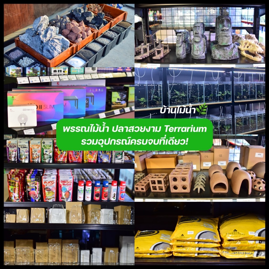 ข้องอแก้ว ข้องอสแตนเลส ข้องอตัว U ข้องอตัวยู แขวนสาย CO2 หรือสายออกซิเจนที่ขอบตู้ | บ้านไม้น้ำ🌿