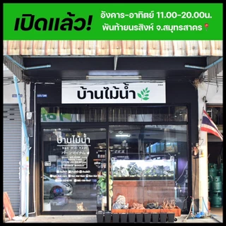 ตาข่ายกันปลากระโดด ตาข่ายตู้ปลา ตาข่าย กันกุ้งสัตว์น้ำกระโดด ช่องถี่ 0.6 ซม. ตัวหนีบกระจกได้หนาสุด 1.5 ซม. | บ้านไม้น้ำ🌿