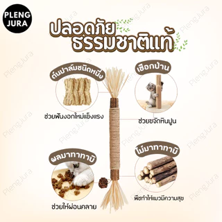 มี 3 แบบ ไม้แมวเมามาทาทาบิ matatabi stick แคทนิปญี่ปุ่น ขัดฟันแมว กัญชาแมวมาทาบิ ของเล่นสำหรับแมว ไม้ขัดฟันก้านมาทาทาบิ