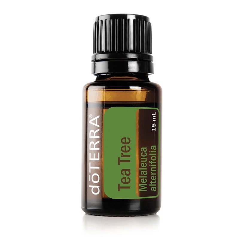 Doterra Essential Oils Tea Tree ที ทรี​  เอสเซนเชียล ออยล์​ โดเทอร์ร่า 15 ML Kaideeshop888ของแท้100%