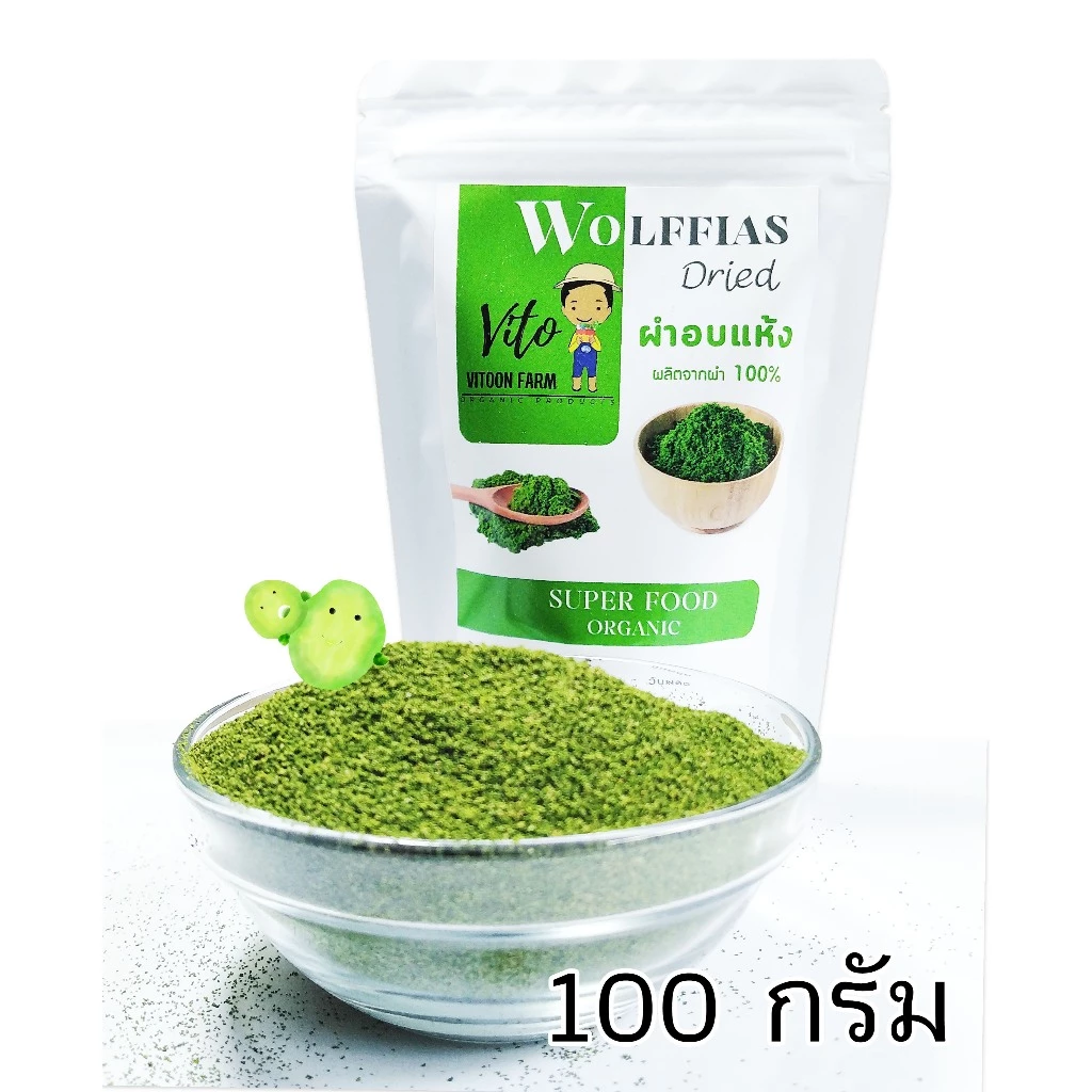 ผงผำอบแห้ง Wolffia Dried 70-100 กรัม thumbnail 3