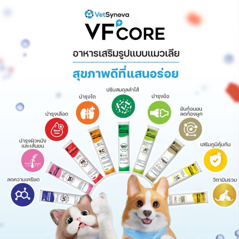 VFcore 1 ซอง อาหารเสริมในรูปแบบขนมแมวเลีย เสริมภูมิคุ้มกัน ทานง่าย 1 หลอด
