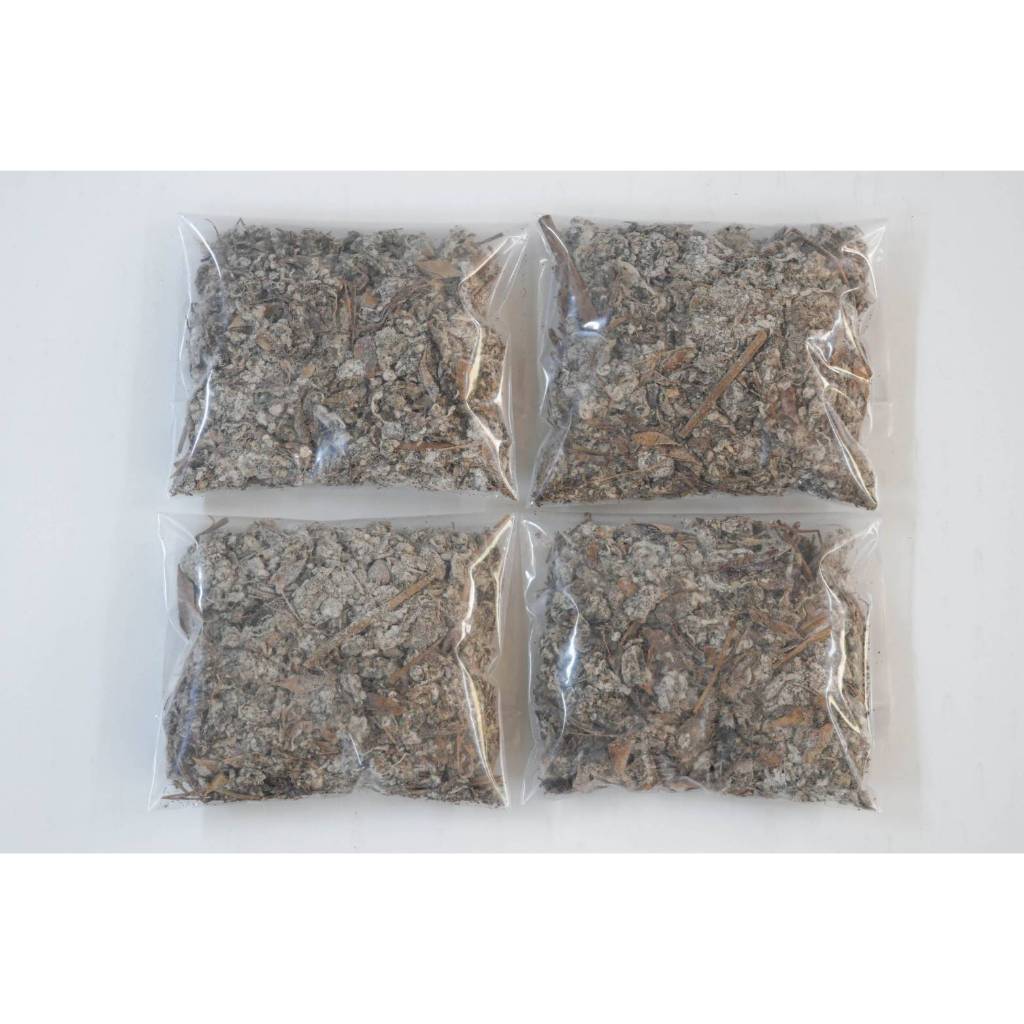 เชื้อเห็ดฟางอีแป๊ะ 4 ถุง ผสมอาหารเสริม,แป้งข้าวเหนียว,รำอ่อน เชื้อเดินดีแล้ว พร้อมเพาะ - รูปที่ 7