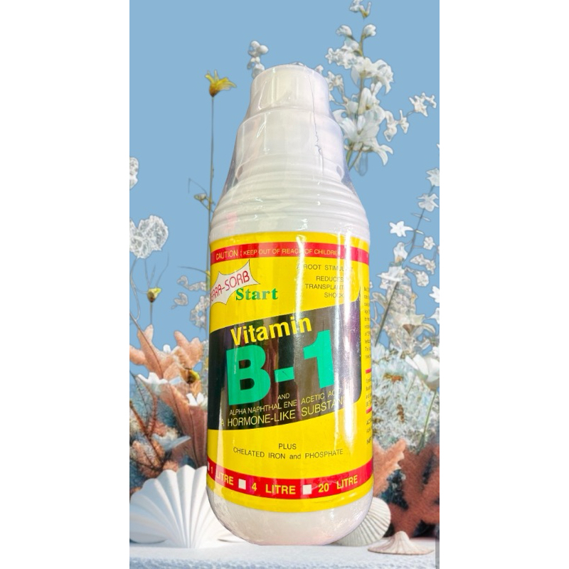 ยาเรียกราก START Vitamin B-1 ขนาด 1000 cc.
