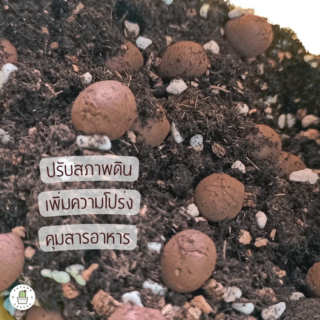 🟤 popper ป๊อบเปอร์ เม็ดดินเผา ดินมวลเบา โรยหน้ากระถาง ผสมดินปลูก ปอปเปอ บรรจุ 1 ลิตร 🟤🟤 - รูปที่ 3