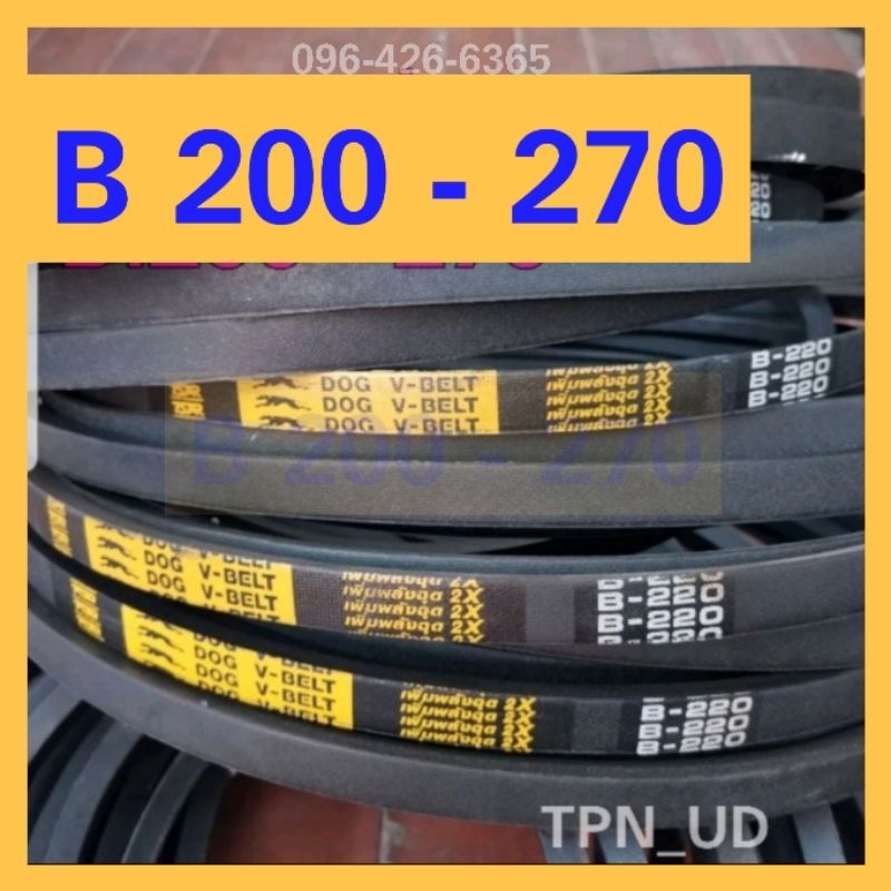 สายพานร่อง B 200 - 270 สายพานรถไถนา สายพานเกษตร สายพานเครื่องสูบน้ำ ตราหมา DOG / ตราดอกจิก Black Clubs