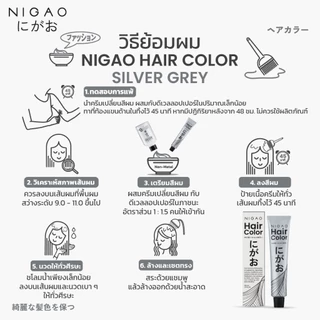 [ฟรี Developer] NIGAO Hair Color Silver Grey 6.11 | นิกาโอะ ครีมเปลี่ยนสีผม สีย้อมผม สีเทา ควันบุหรี่ 100 mL