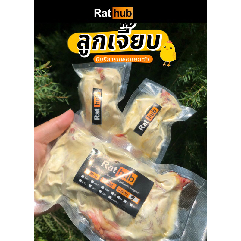 ลูกเจี๊ยบแช่แข็ง แพคแยกตัว ใช้สะดวก อาหารงู อาหารเหยี่ยว อาหารนกฮูก อาหารเฟอร์เรท นกนักล่า