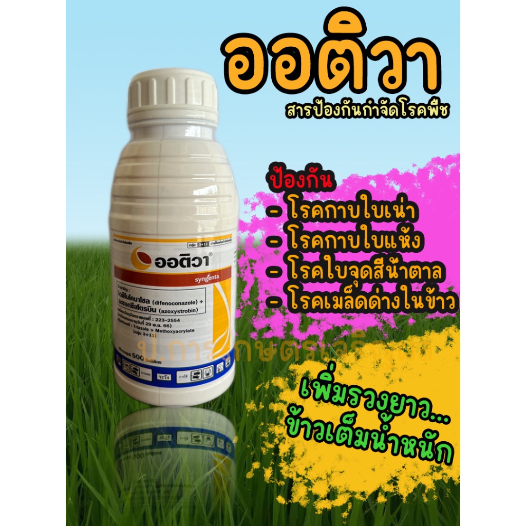 ออติวา สารป้องกันกำจัดโรคพืชชนิดดูดซึม ป้องกันกำจัดโรคกาบใบแห้ง โรคกาบใบเน่า โรคใบจุดสีน้ำตาล