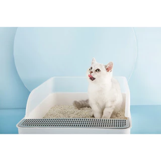 8L💥MZ ทรายแมวเต้าหู้ ออร์แกนิค100% ผลิตจากกากถั่วเหลืองธรรมชาติ ทรายแมว Cat Litter ทรายแมวเต้าหู้ ทรายเต้าหู้