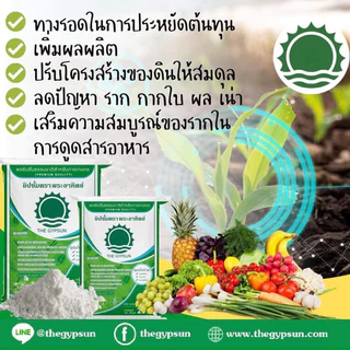 ยิปซั่มตราพระอาทิตย์ ผงยิปซั่มธรรมชาติทางการเกษตร ประหยัดต้นทุน เพิ่มผลผลิตคุณภาพ (ใช้โค้ดส่งฟรี300฿ได้นะคะ)
