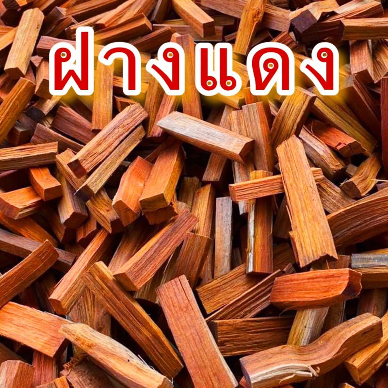ฝางแดง แก่นฝาง ไม้ฝาง
