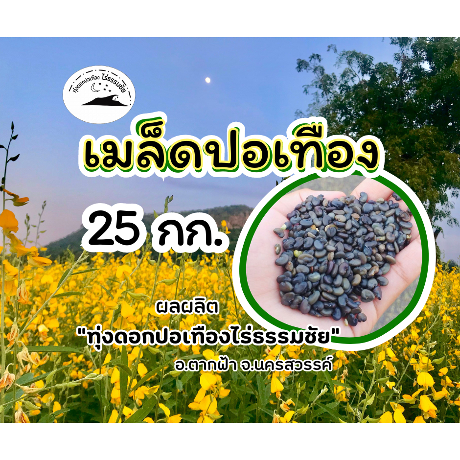 เมล็ดปอเทืองบรรจุ 25 กก./กระสอบ (จำกัดออเดอร์ละ50กก)
