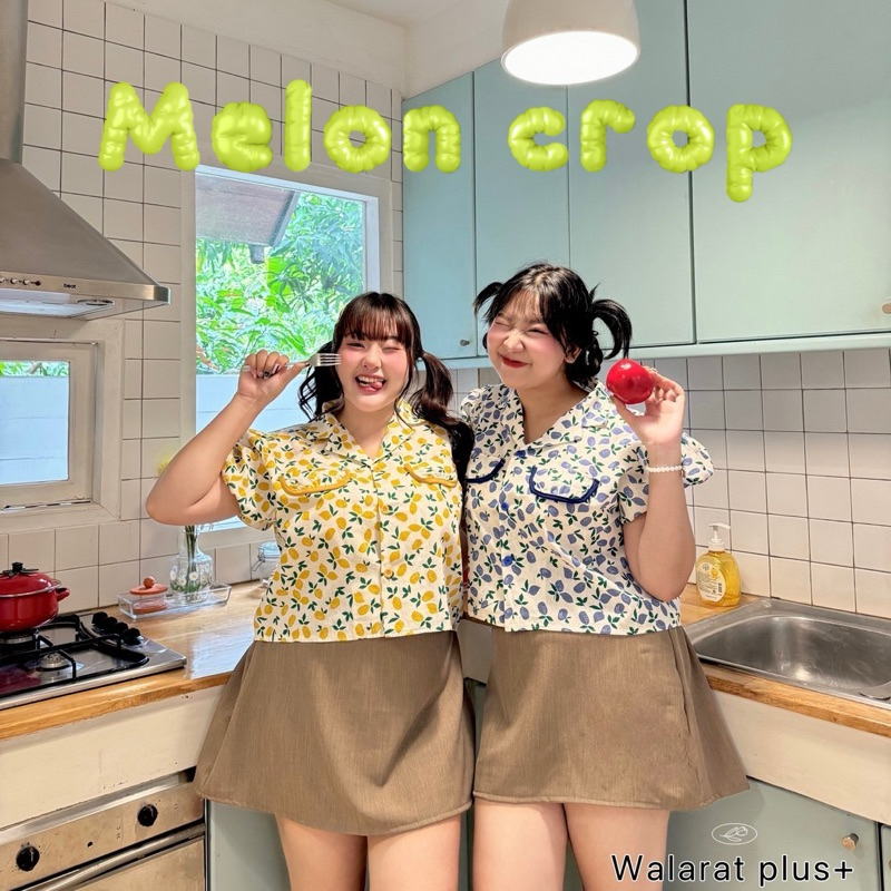 (WR) เสื้ออครอปลายเมล่อน น่ารัก สดใสมากๆ ใส่เที่ยว ใส่ทำงานได้ เสื้อผ้าสาวอวบอ้วน พลัสไซส์ ไซส์ใหญ่