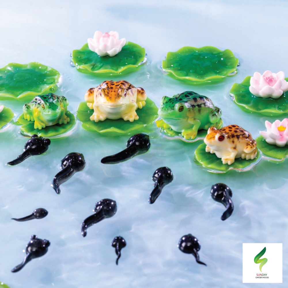 แม่กบ ลูกกบ ลูกอ๊อด น่ารัก Micro-landscape Creative สำหรับตกแต่งสวนถาด ตกแต่งบ้าน อื่นๆ