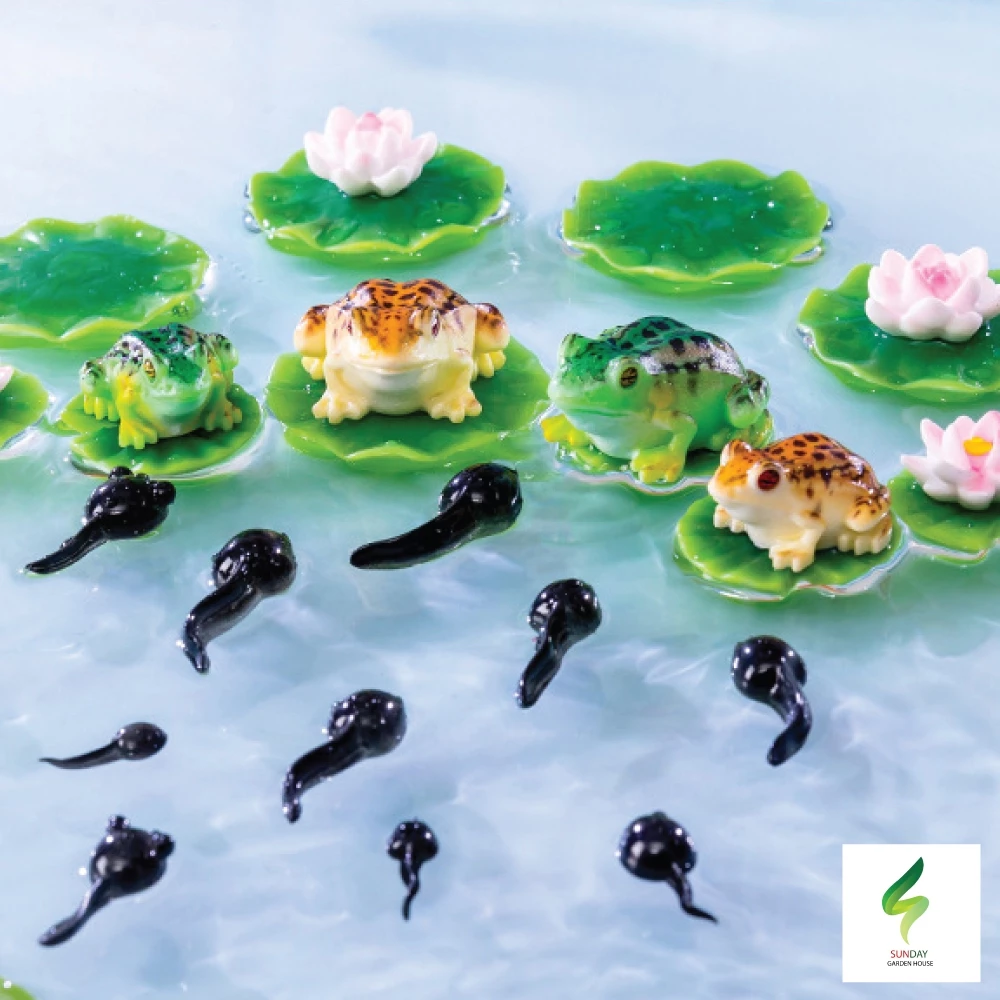 แม่กบ ลูกกบ ลูกอ๊อด น่ารัก Micro-landscape Creative สำหรับตกแต่งสวนถาด ตกแต่งบ้าน อื่นๆ
