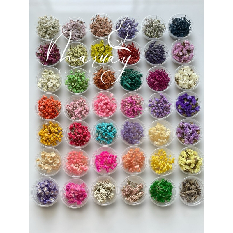 ดอกไม้แห้ง​ ขนาด​ถ้วย 2​ ออนน์  สำหรับงานฝีมือ​ งาน​DIY​(ขั้นต่ำ3กระปุกนะคะขอบคุณ​ค่ะ)​