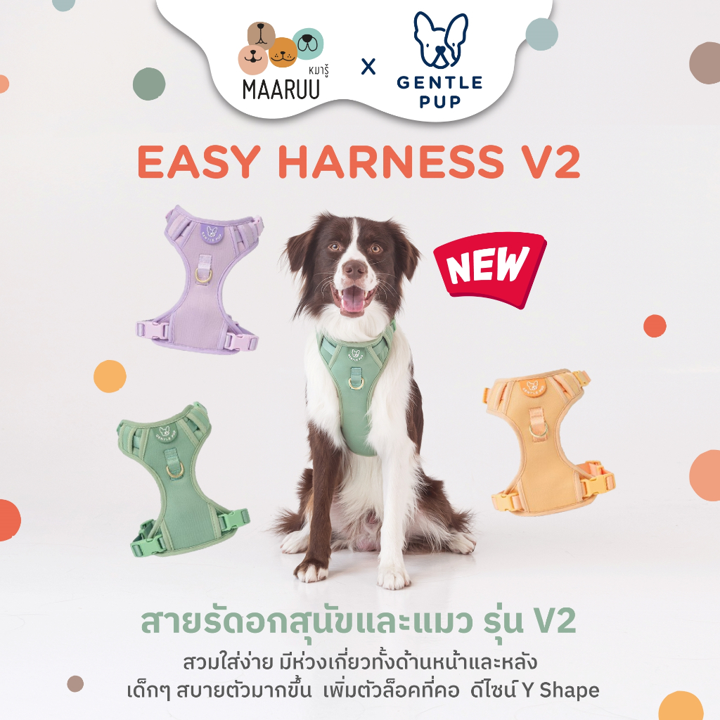 Gentlepup New !! Easy Harness V2 สายรัดอกสำหรับสุนัข ระบายความร้อนได้ดี นุ่มสบาย กระชับ สวมใส่ง่าย นำเข้าจากสิงค์โปร์