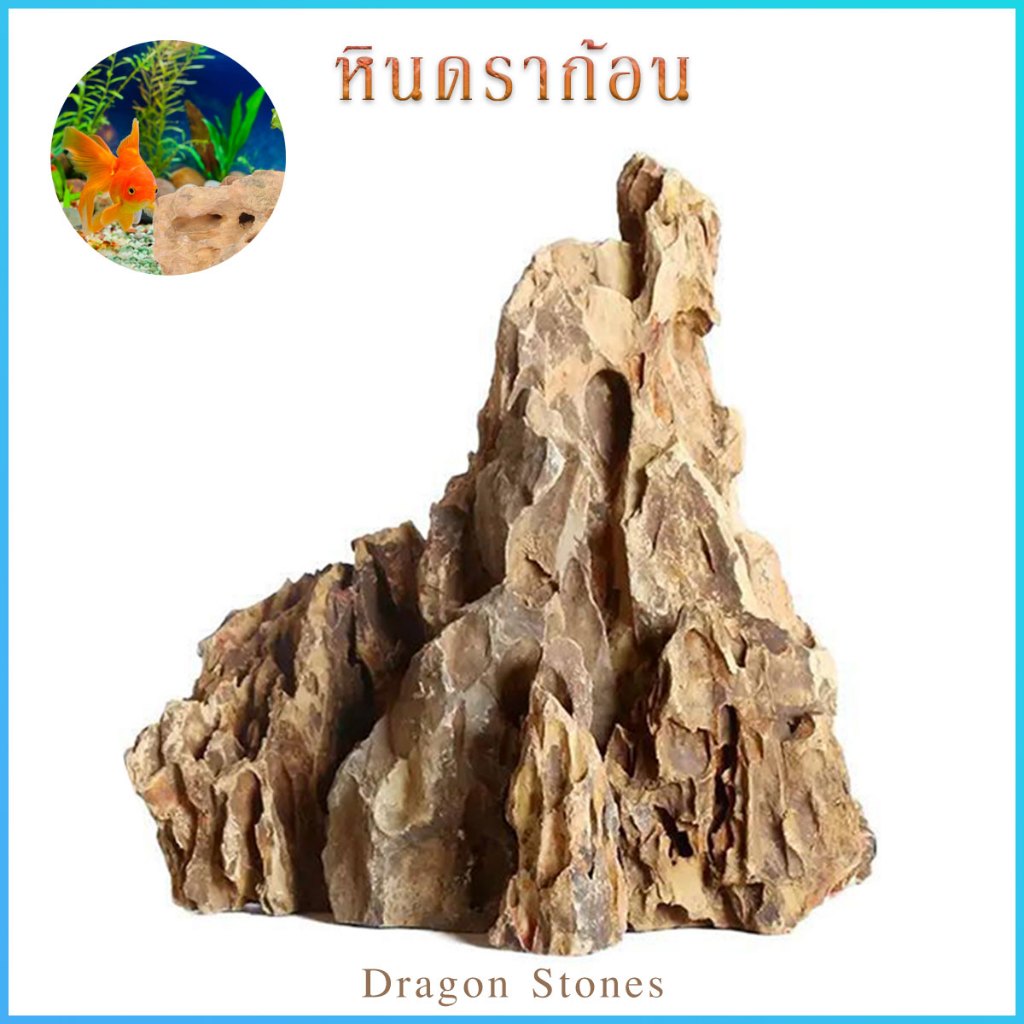 หินดราก้อน Dragon Stones 2กก หินตกแต่งตู้ปลา ตู้ไม้น้ำ บ้านไม้น้ำ แต่งตู้ปล หินตกเเต่งสวน หินตู้ไม้น้ำ