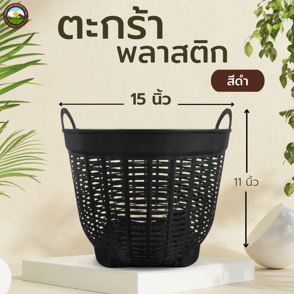 เข่งพลาสติก ตะกร้าปลูกต้นไม้  เข่งปลูกต้นไม้  ตะกร้าพลาสติก (เบอร์6)  15 นิ้ว  หลายสี หนา แข็งแรง