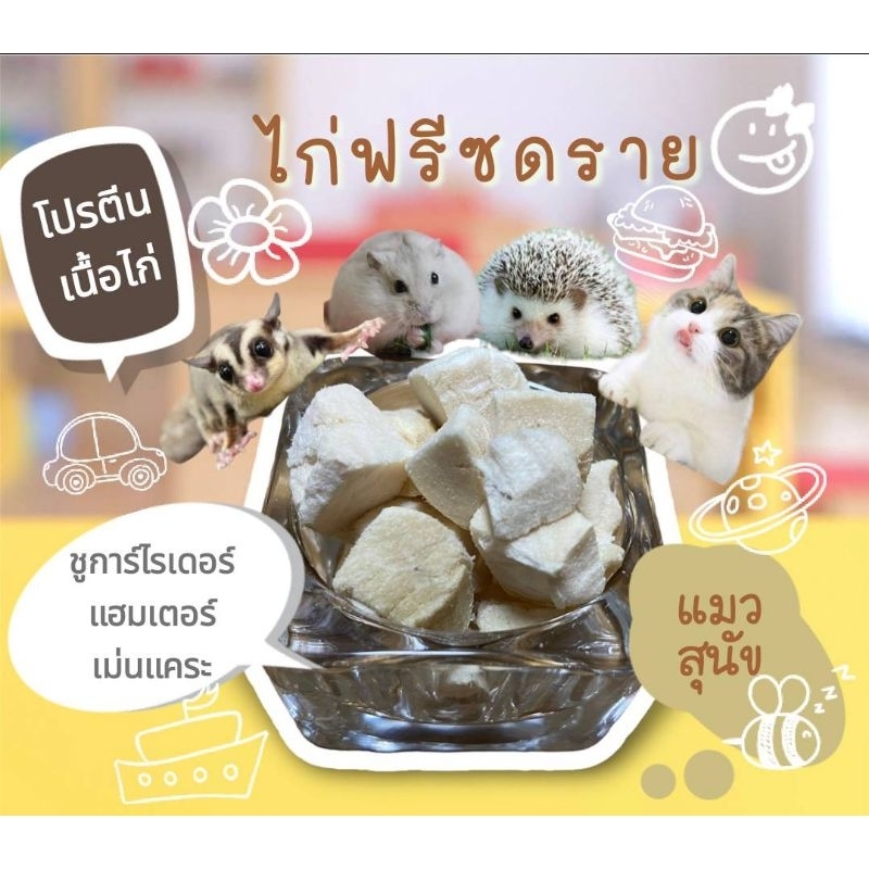 อกไก่ฟรีซดราย โปรตีนสูง สำหรับ แฮมเตอร์ ชูการ์ไรเดอร์ เม่นแคระ  สุนัข แมว นน.15 กรัม