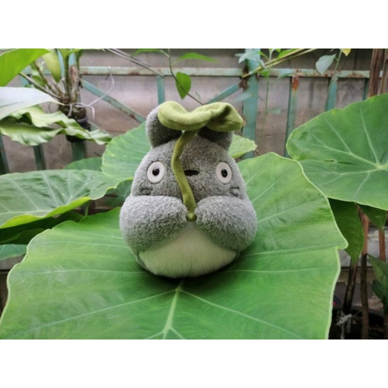 ตุ๊กตาโตโตโร่ Totoro ของแท้ซื้อมือหนึ่งมาจากสนามบินญี่ปุ่น