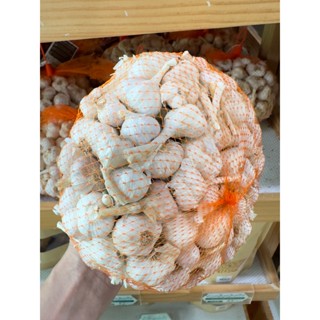 กระเทียมน้ำปาดอินทรีย์ 1 กก. มหาศาลด้วยคุณประโยชน์