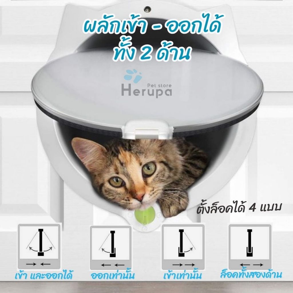 ประตูแมวรุ่นหน้าแมว น่ารัก ติดตั้งง่ายกันแอร์ออกกันแมลง พร้อมส่งไม่ต้องรอนาน(มีบริการติดตั้ง ทักแขท) ราคา ถูกที่สุด ดีลบีเคเค แกลเลอรีภาพที่ 2