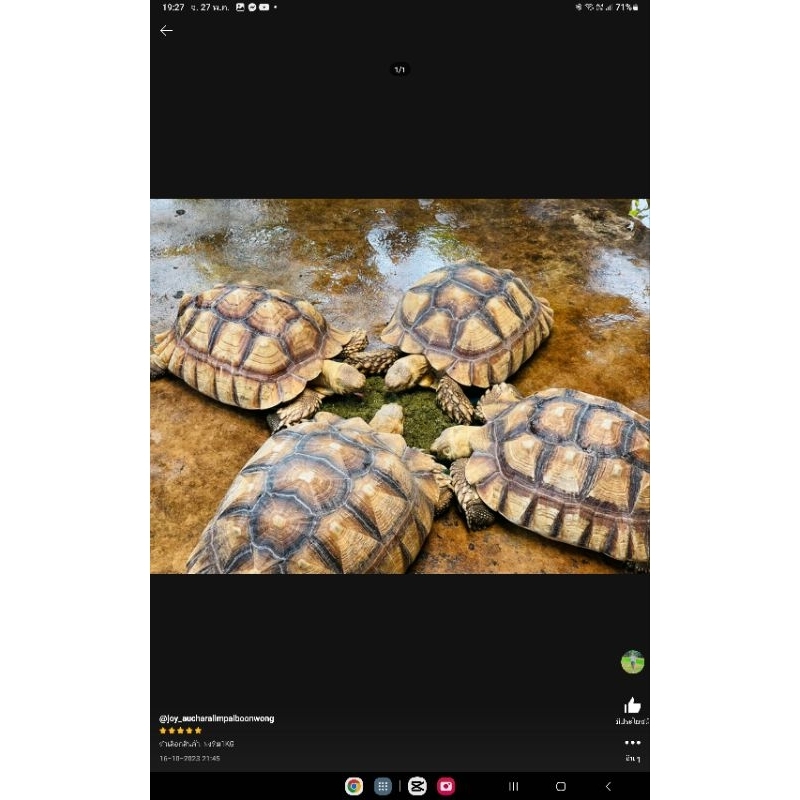 Thumbnail 7