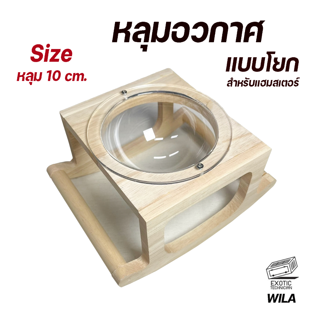 หลุมอวกาศสำหรับแฮมเตอร์ หลุมใส บนเก้าอี้โยก
