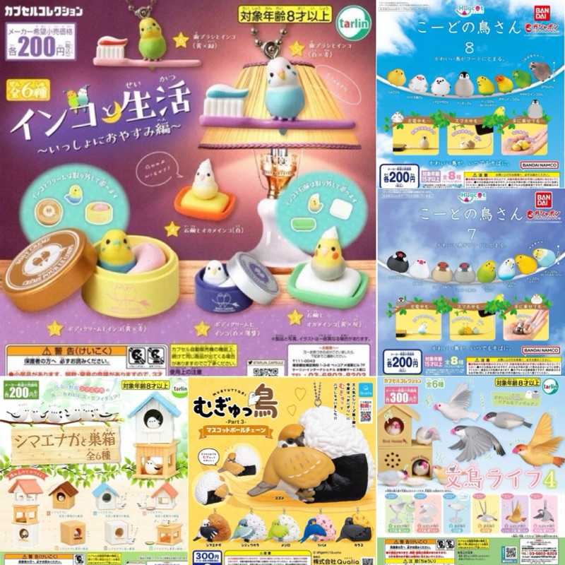 [รวมเซตกาชาปองนก] กาชาปองนกหลากหลายสายพันธุ์ : นกชิมาเอะนากะ นกกระจอก นกแก้ว นกหงส์หยก Bird Collection gashapon