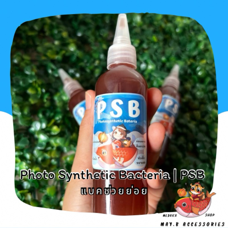 (สูตรญี่ปุ่น ) จุลินทรีย์สังเคราะห์แสง | ย่อยสลายสิ่งสกปรก