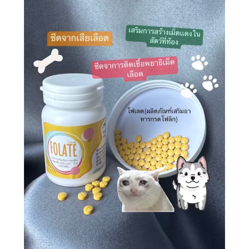 ผลิตภัณฑ์อาหารเสริมเพื่อภาวะโลหิตจางสำหรับสุนัขและแมว โฟเลต (ผลิตภัณฑ์เสริมอาหารกรดโฟลิก) FOLATE