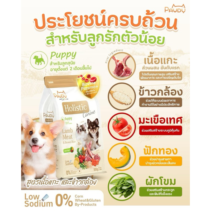 pawdy holistic อาหารสุนัข puppy