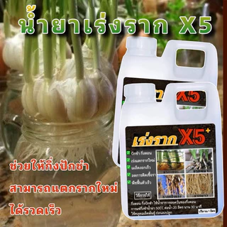 น้ำยาเร่งรากx5 แตกรากใหม่เร็ว โปรสุดคุ้ม 1 แถม 1