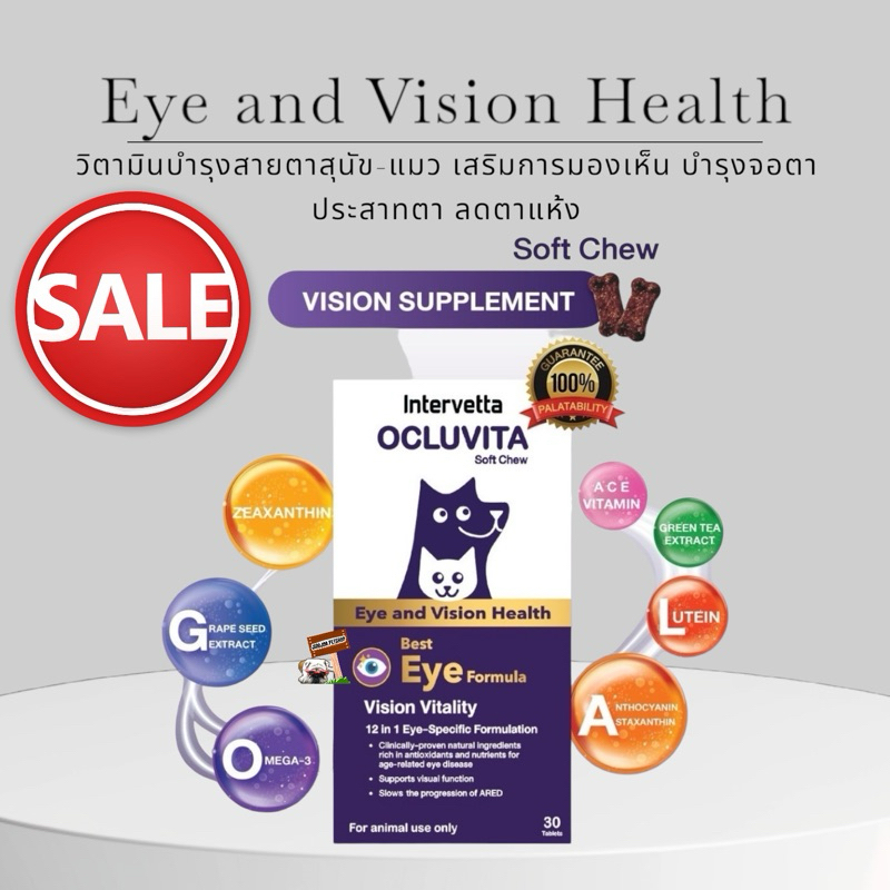 Intervetta Ocluvita Eye and Vision Health 30เม็ด วิตามินบำรุงสายตาสุนัข-แมว เสริมการมองเห็น บำรุงจอต