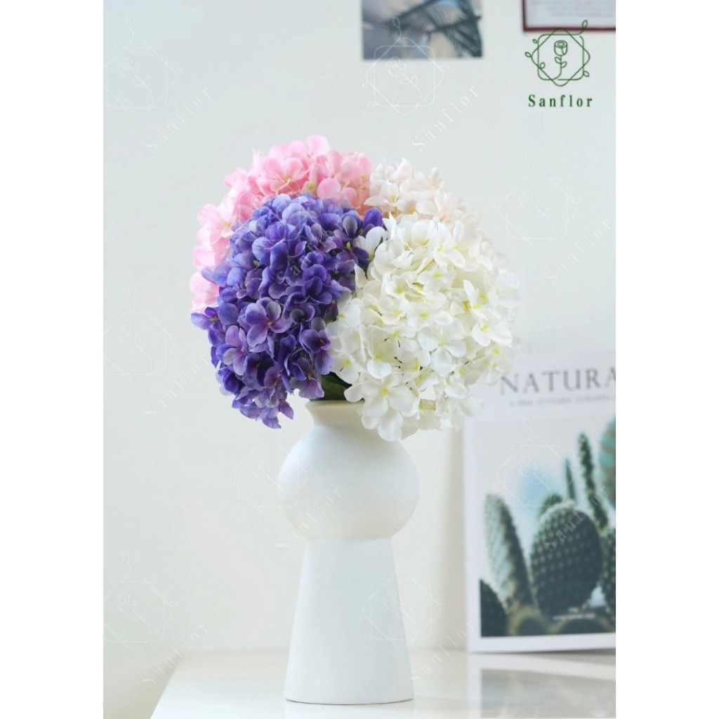 ดอกไฮเดรนเยีย มี 4 สี พร้อมส่งในประเทศไทย sft01