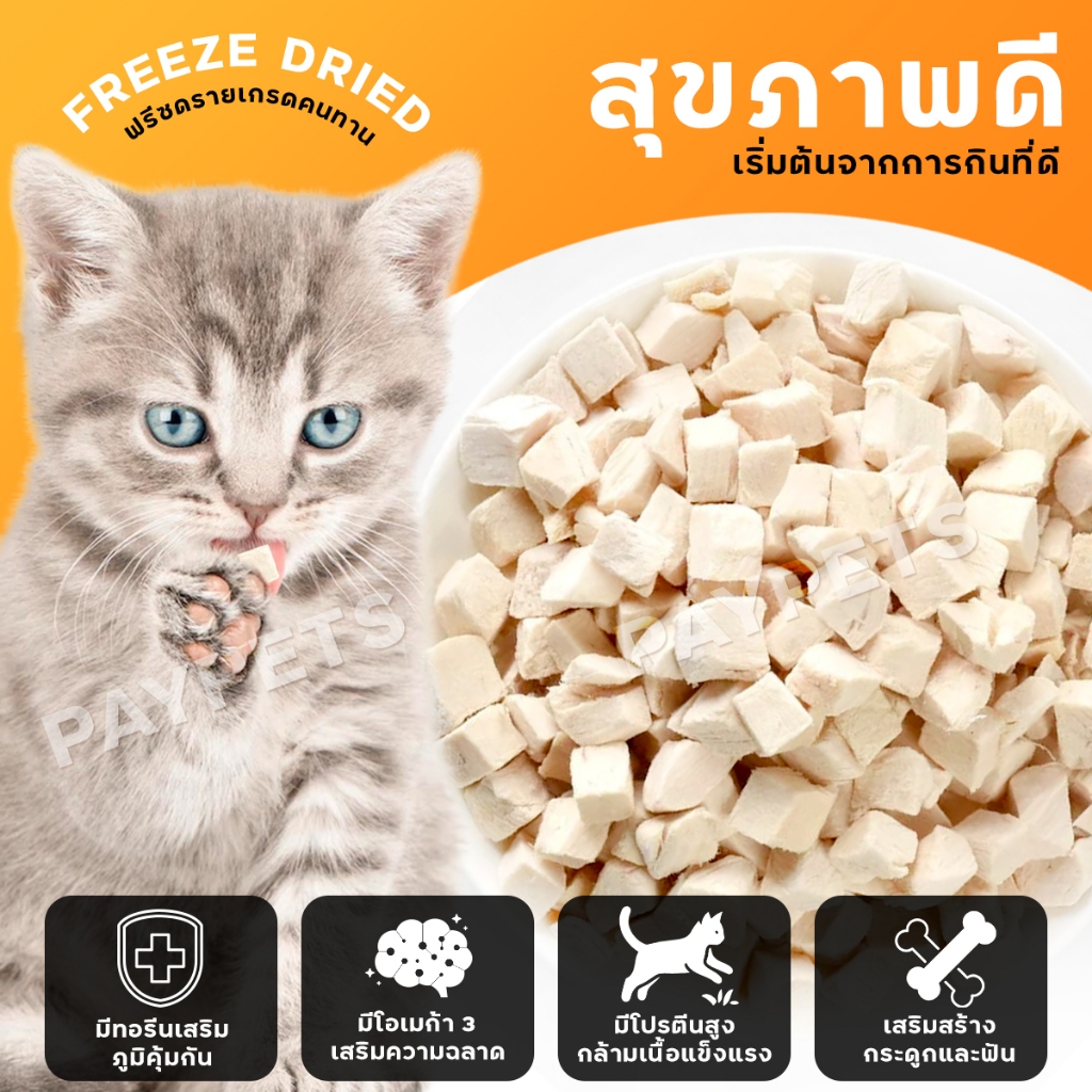 ขนมฟรีซดรายเต๋าFreeze Drie Snack อร่อย+มีประโยชน์ ฟรีซดรายเต๋าสุนัข-แมว เนื้อเน้นๆสำหรับแมวรักสุขภาพ ราคา ถูกที่สุด ดีลบีเคเค แกลเลอรีภาพที่ 4