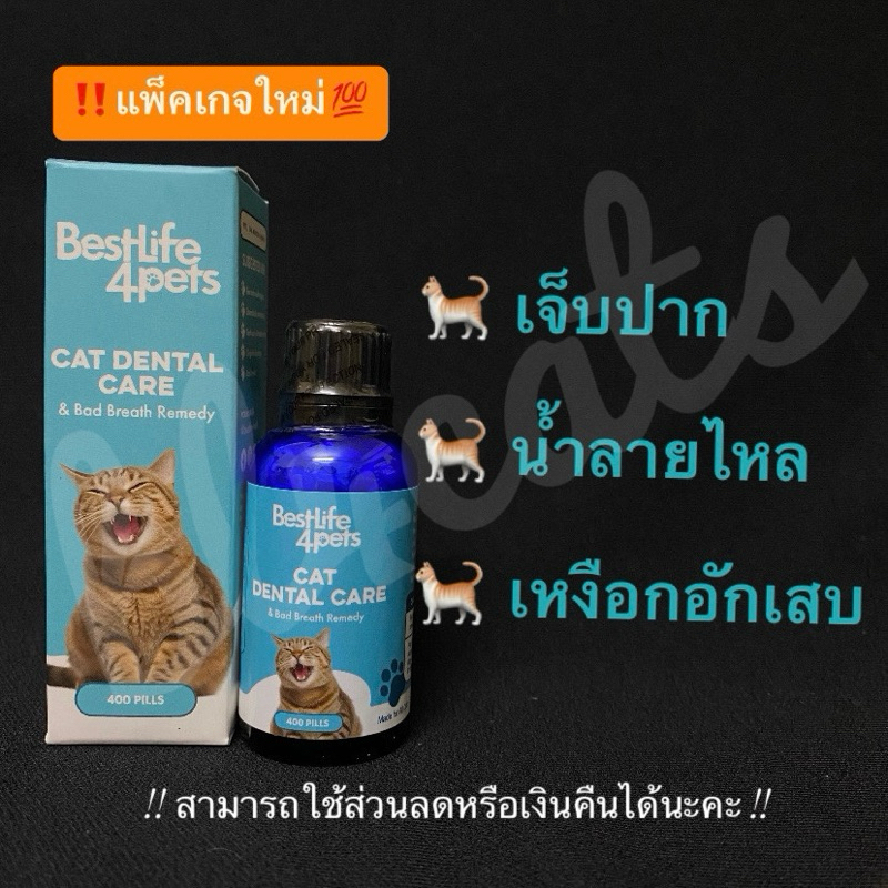 อาหารเสริม วิตามิน แมวเจ็บปาก แมวน้ำลายไหล แมวไม่กินอาหารเม็ด