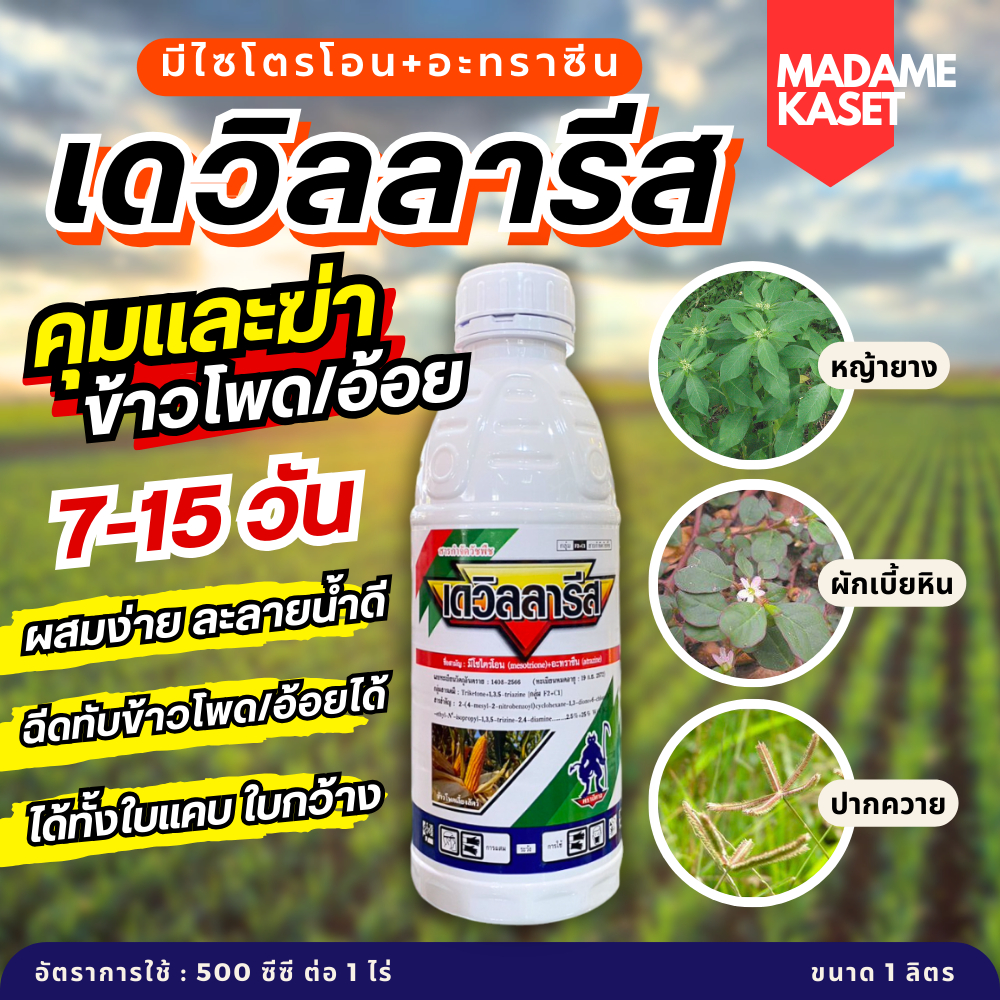 เดวิลลารีส (มีโซไตรโอน+อะทราซีน) ตัวเดียวกับเมอร์เทค สารคุมวัชพืชใบแคบในข้าวโพด และ อ้อย คุมนาน ตายดี (1 ลิตร)