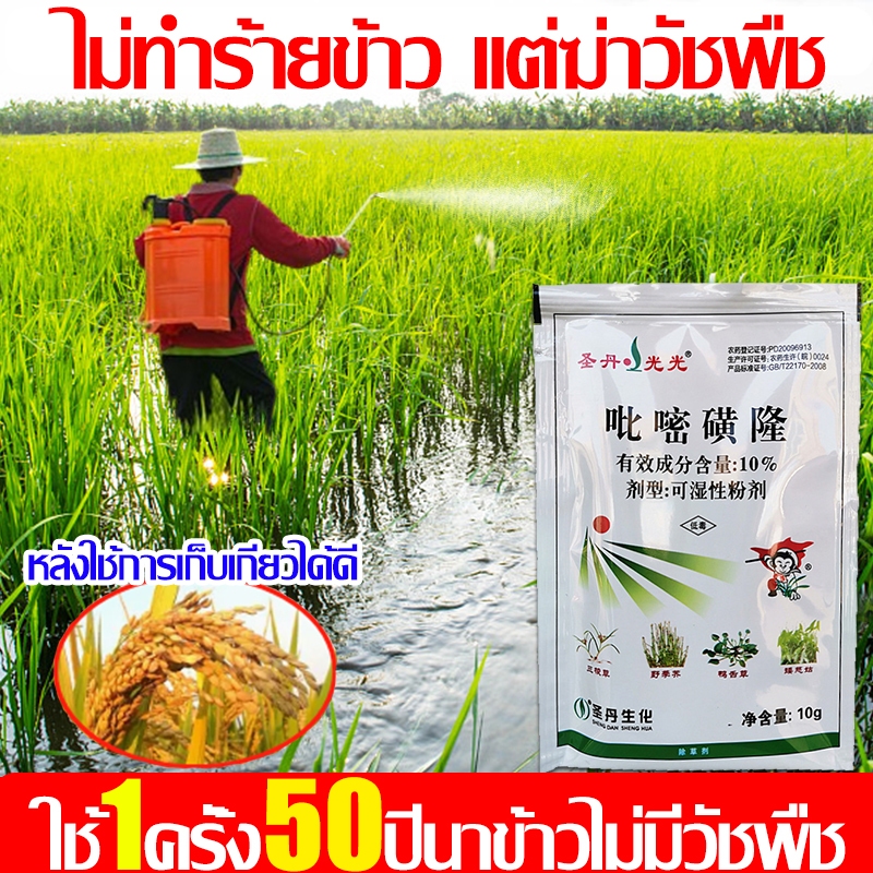 ไม่ทำร้ายข้าว! ยาฆ่าหญ้าในนาข้าว 1ฟรี1 เข้มข้นสุดๆ วัชพืชในนาข้าวต่างๆ หญ้าข้าวนก หญ้าหูหนู 1ชุด ผสมน้ำ60catties