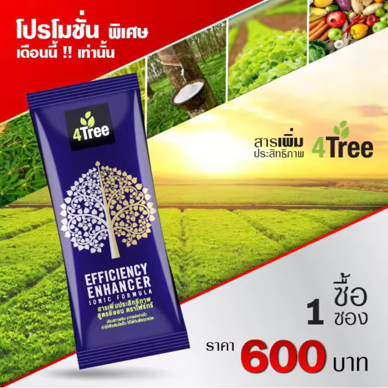 4Tree✅ส่งฟรี✅ โฟร์ทรี 1 ซอง(รับประกันของแท้💯%) สารเพิ่มประสิทธิภาพการเจริญเติบโตพืช Amino Black อะมิ