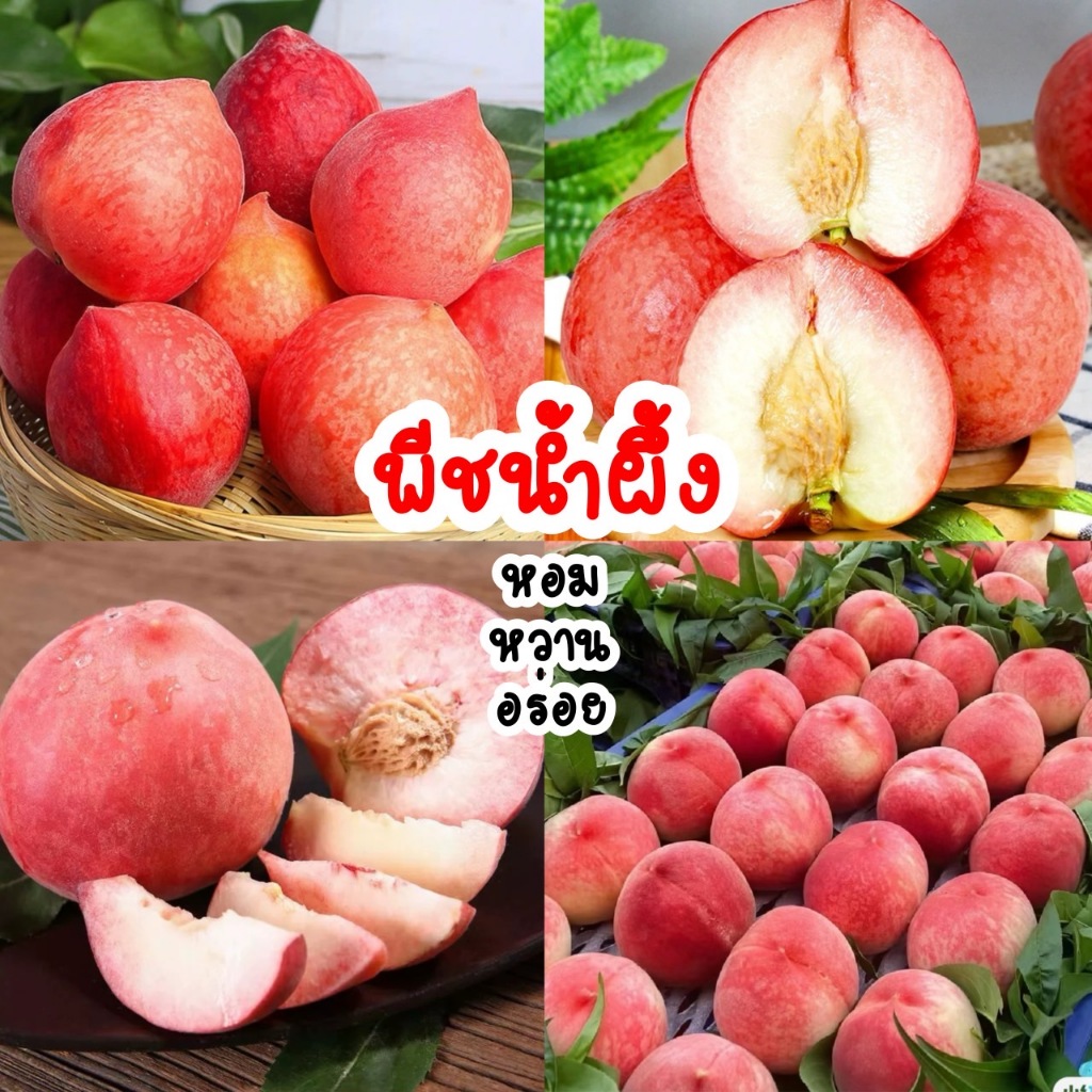 🍑พีชน้ำผึ้ง 1kg หอม หวาน อร่อย สดๆต้นฤดู ✨