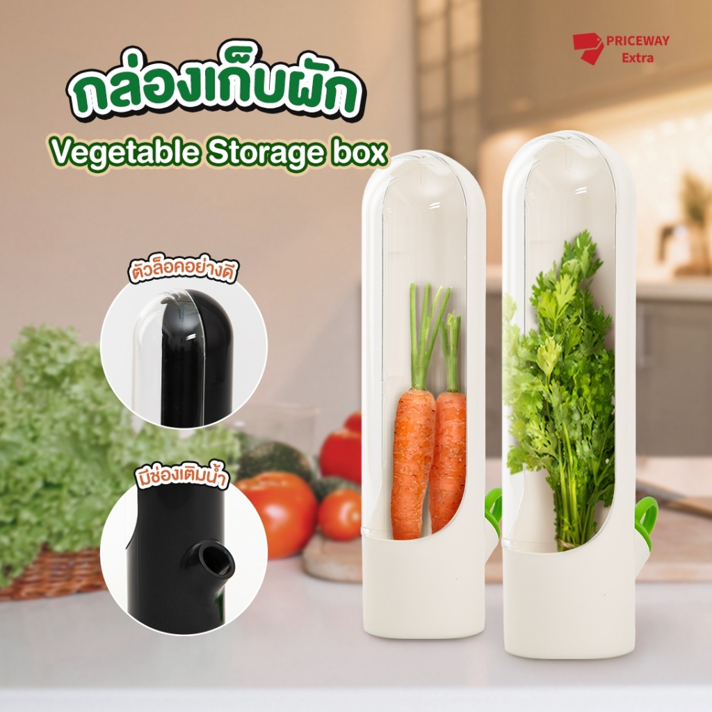 กล่องถนอมผัก ช่วยถนอมให้ผักสดนานกว่าเดิม ที่เก็บผักทรงกระบอก ประหยัดพื้นที่ไม่ทำให้ผักช้ำ รุ่นPSB009