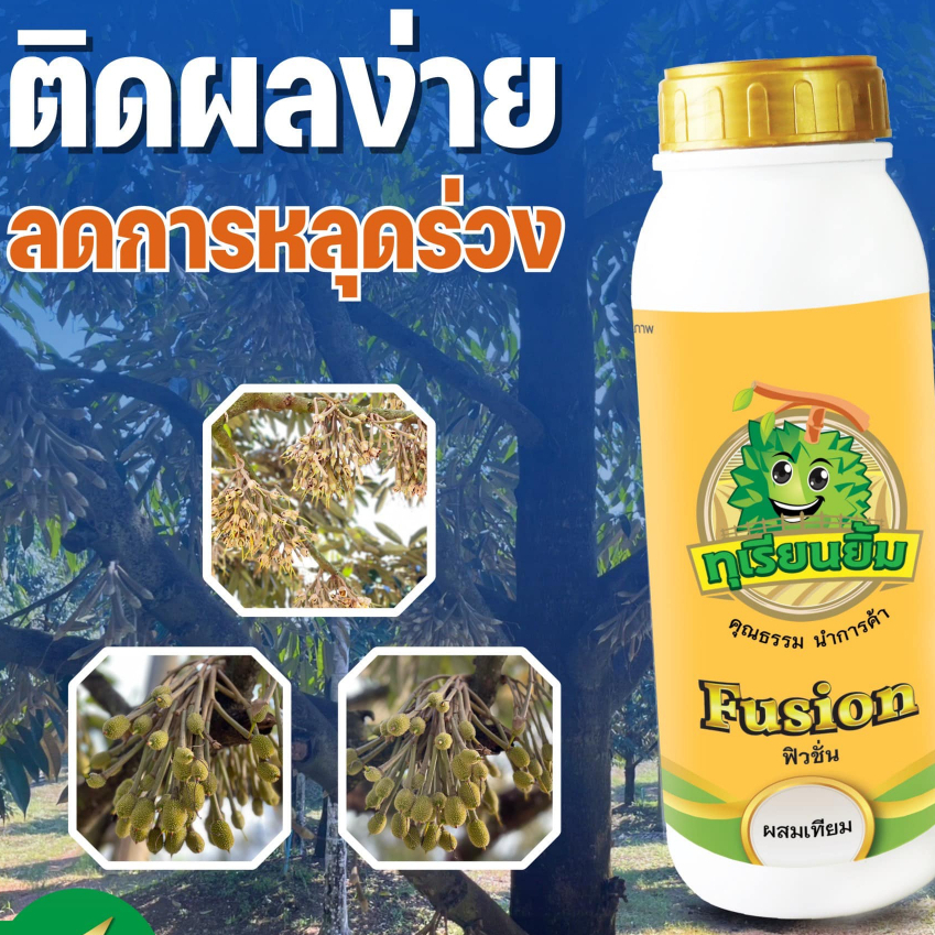 ฟิวชั่น ผสมเทียม  ติดผลได้แบบไม่ต้องปัดดอก ยกระดับการติดผล - รูปที่ 3
