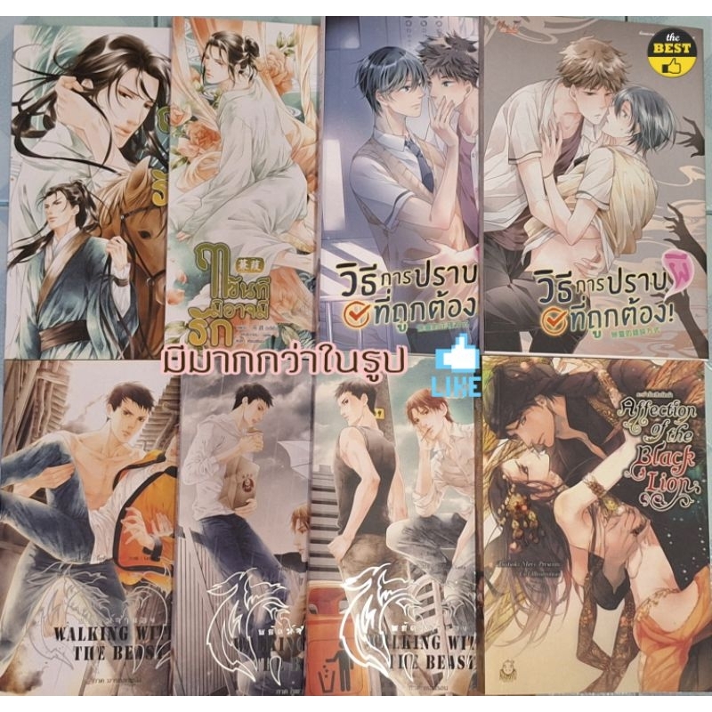 นิยายวาย (มือสองสภาพดี) 🆕️ 5/1/69